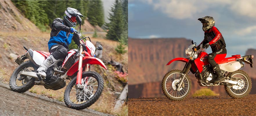 XR650L VS CRF450L