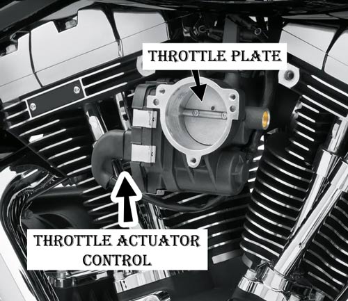 Harley davidson Throttle Actuator Control 