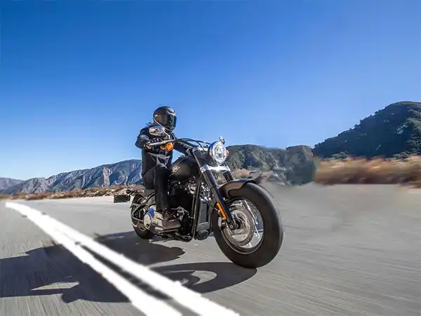 Harley softail