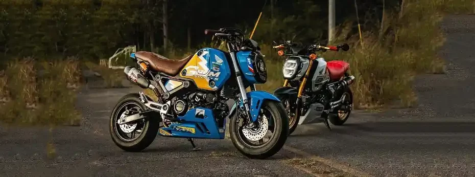 HONDA GROM COMPETITORS